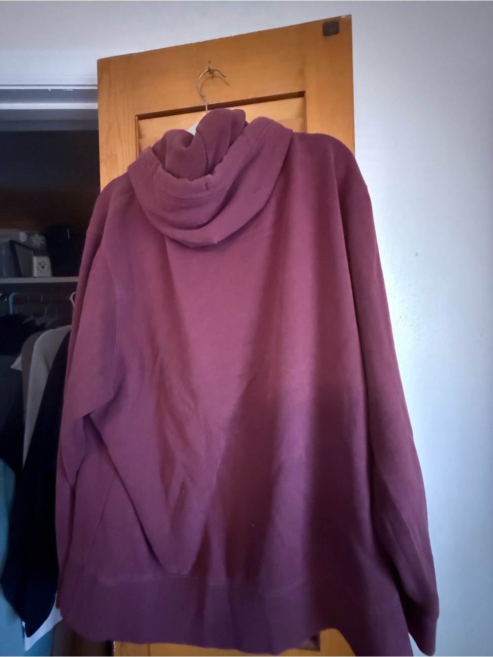 American Eagle Outfitters Men's Zip-Up Hoodie in Burgundy